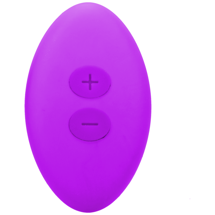 Magnetic Panty Vibe with Remote In a Bag