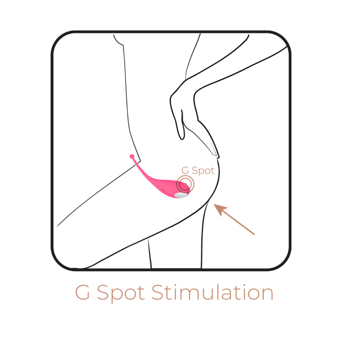 Adrien Lastic - Palpitation - App Control Vibrating Egg Stimulator