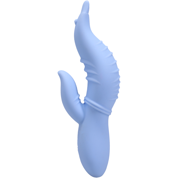 Into The C - Seahorse Siren