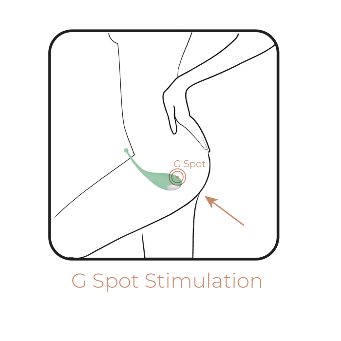 Adrien Lastic - Palpitation - App Control Vibrating Egg Stimulator