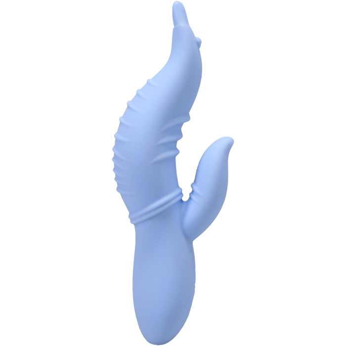 Into The C - Seahorse Siren