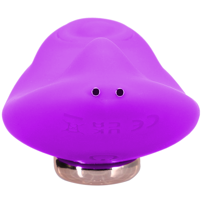 Magnetic Panty Vibe with Remote In a Bag